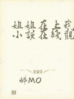姐姐在上我在下小说在线观看