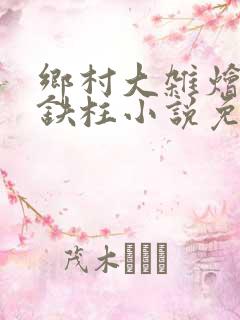 乡村大杂烩会王铁柱小说免费阅读下