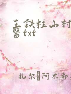 王铁柱山村小神医txt