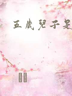 五岁儿子是相公