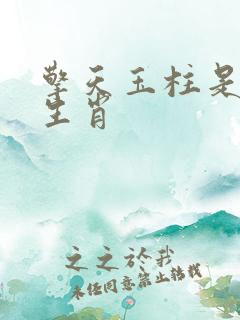 擎天玉柱是什么生肖