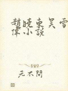 赵晓东吴雪晴郑伟小说