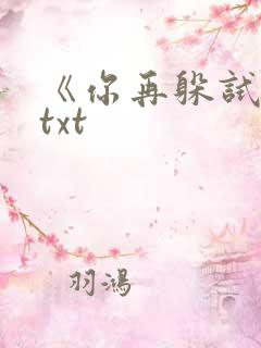 《你再躲试试》txt