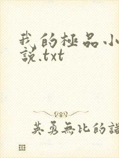 我的极品小姨小说.txt