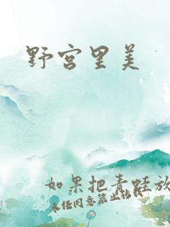 野宫里美