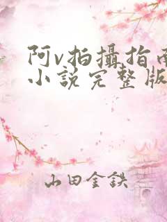 阿v拍摄指南说小说完整版