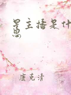 星主播是什么意思