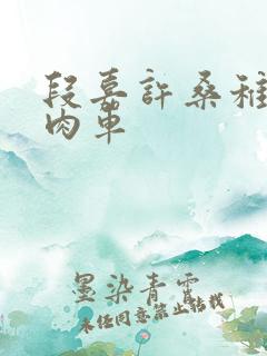 段嘉许桑稚浴室肉车
