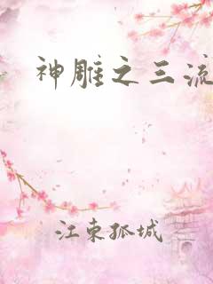 神雕之三流
