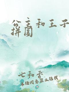 公主和王子爱情拼图