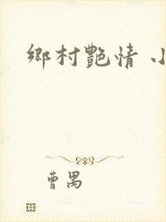 乡村艳情 小说