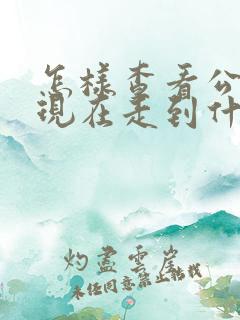 怎样查看公交车现在走到什么位置