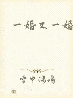 一婚又一婚