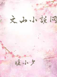 文山小说网