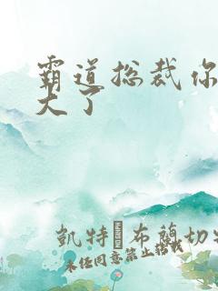 霸道总裁你的太大了