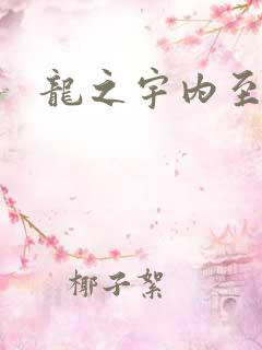龙之宇内至尊