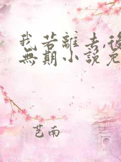 我若离去,后会无期小说免费阅读