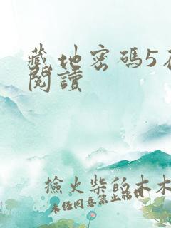藏地密码5在线阅读