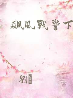 飙风战警下载