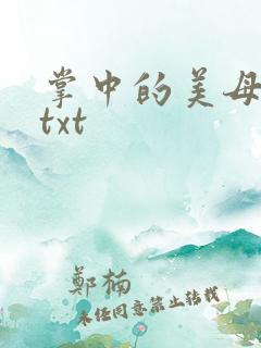 掌中的美母版主txt