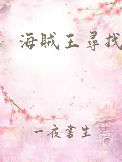海贼王寻找风