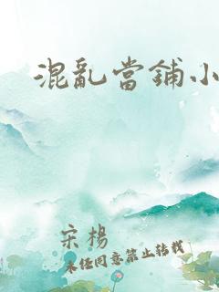 混乱当铺小说