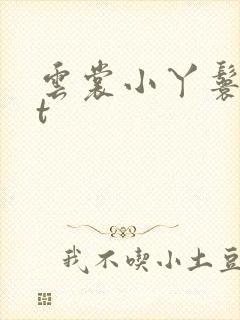 云裳小丫鬟txt