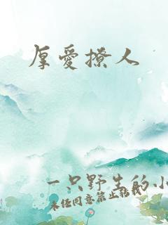 厚爱撩人