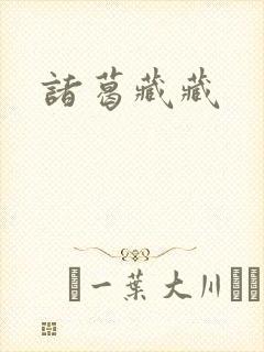 诸葛藏藏