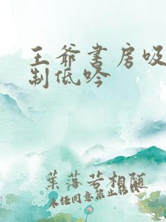 王爷书房吸乳抑制低吟