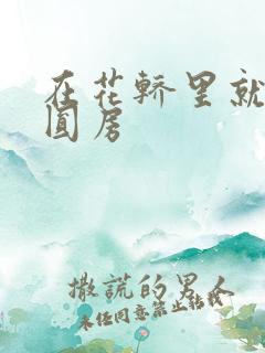 在花轿里就开始圆房