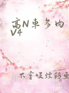 高N车多肉多1V4