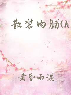 散装肉脯(h)