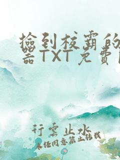 捡到校霸的遥控器TXT免费阅读