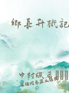 乡长升职记