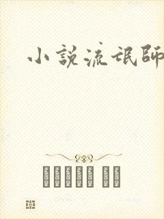 小说流氓师表