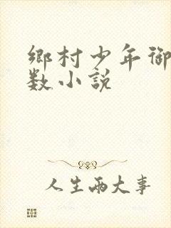 乡村少年御女无数小说