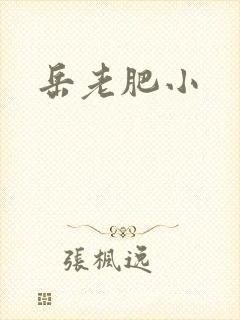 岳老肥小