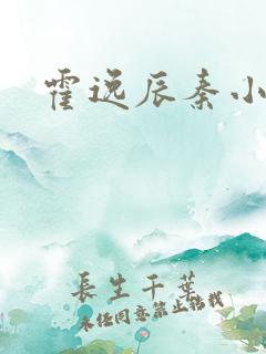 霍逸辰秦小星