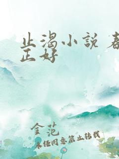 止渴小说 春光正好