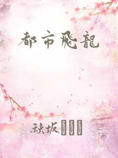 都市飞龙