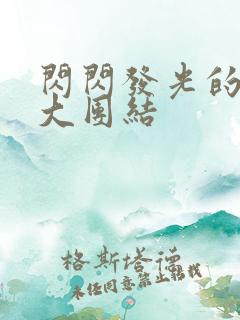 闪闪发光的小说大团结