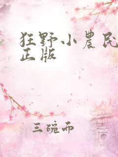 狂野小农民小说正版