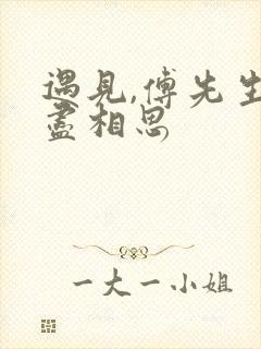 遇见,傅先生无尽相思
