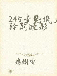 245章飞机上干关晓彤