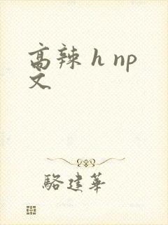 高辣 h np文