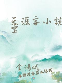 天涯客小说百度云