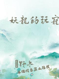 妖龙的玩宠