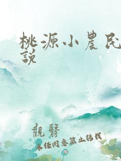 桃源小农民 小说