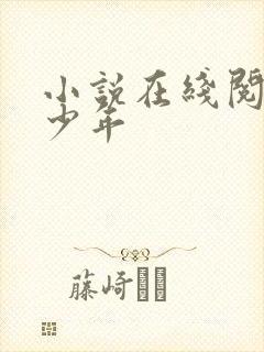 小说在线阅读曾少年